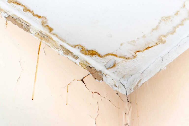 mur-infiltration-deau-scaled